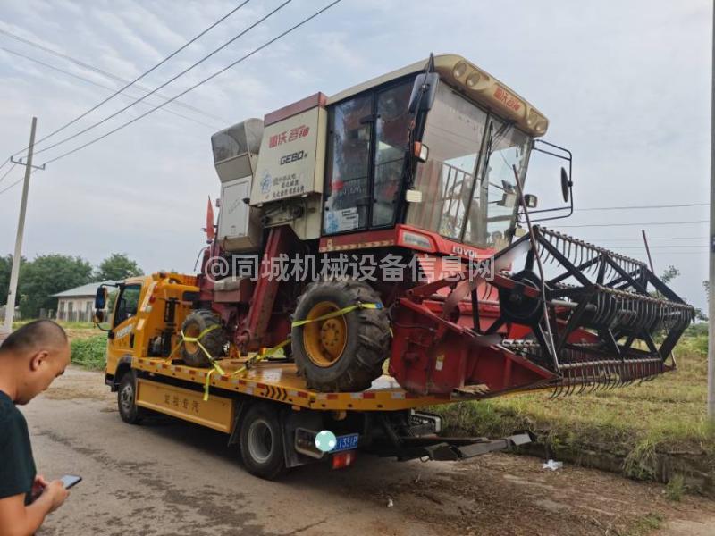 专业叉车，挖机，救援车出租
